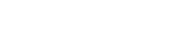 Настоящий Электронный Полис